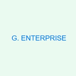 G Enterprise developer logo