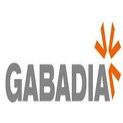 Gabadia Developers Logo