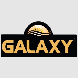 Galaxy Group Developer Logo