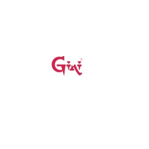 Gini Developer Logo