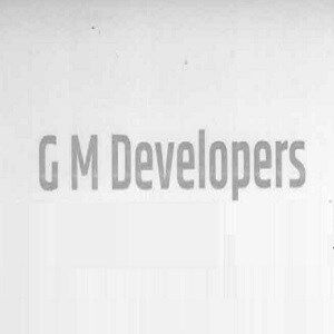 GM Developer developer logo