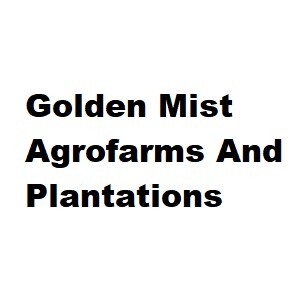 Golden Mist Agrofarms And Plantations developer logo