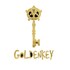 GoldenKey Ventures Pvt Ltd Developer Logo