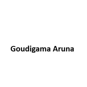 Goudigama Aruna developer logo