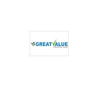 Great Value developer logo