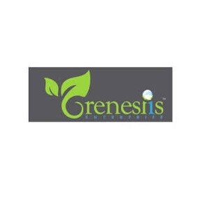 Grenesiis Enterprise logo