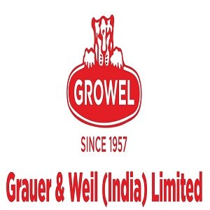 Growel Group developer logo