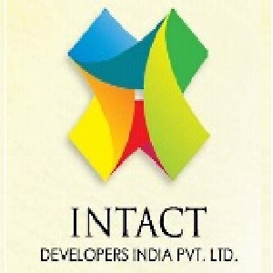 Intact developer logo