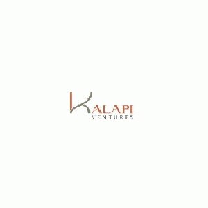 Kalapi Ventures Developer Logo