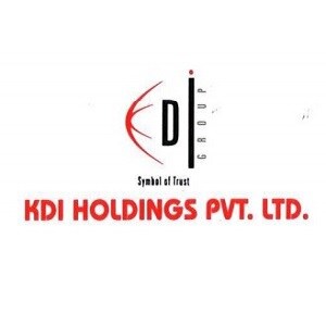 KDI Holdings logo