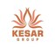 Kesar Group
