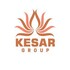 Kesar Group Developer Logo