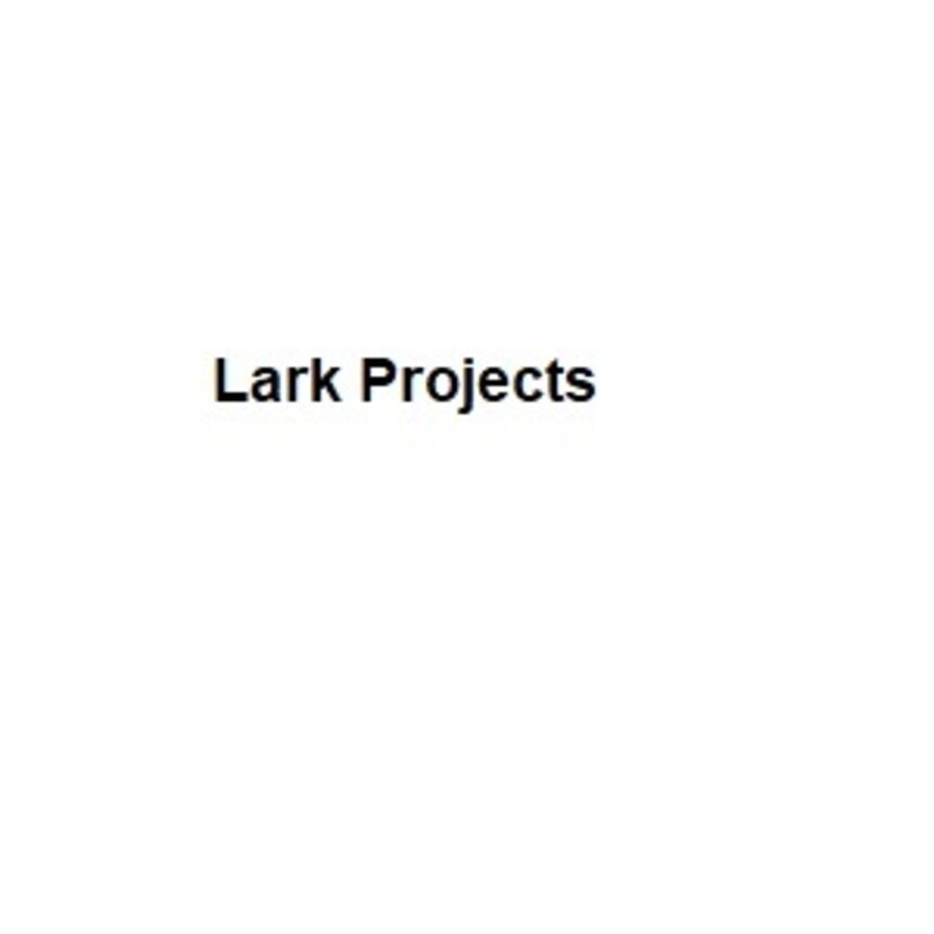 Lark Projects