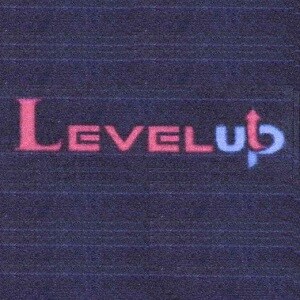 Level Up Construction developer logo