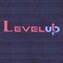 Level Up Construction