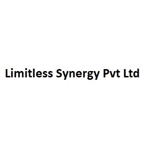 Limitless Synergy Pvt Ltd Logo