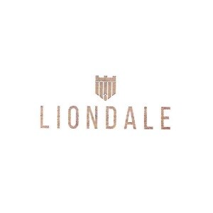 Liondale Infra Pvt Ltd logo