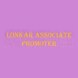 Lonkar Associate