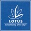 Lotus Builders and Developers