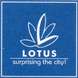 Lotus Builders and Developers
