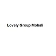 Lovely Group Developer Logo