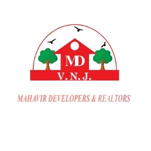 Developer Logo