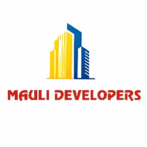 Developer Logo
