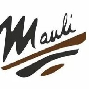 Mauli Sai Developer Logo