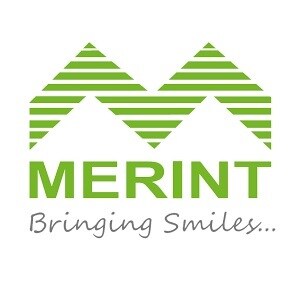 Merint Developers Developer Logo