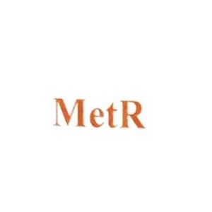 MetR Developers developer logo