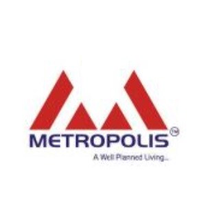 Metropolis Developer Logo