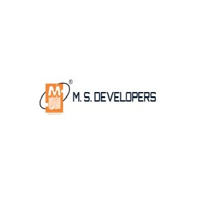 MS Developers Developer Logo