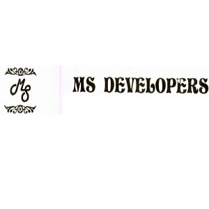 MS Developers Mumbai