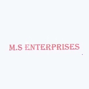 MS Enterprises logo