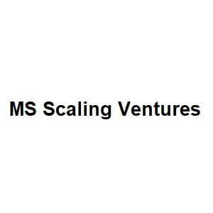 MS Scaling Ventures developer logo