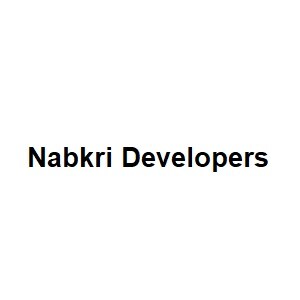 Nabkri Developers Developer Logo