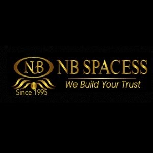 Nanasaheb Bhintade Spacess Logo