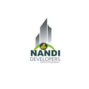 Nandi Developers developer logo