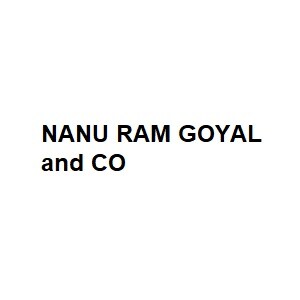 NANU RAM GOYAL and CO developer logo
