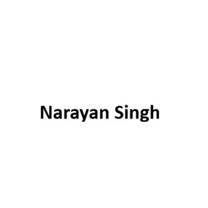 Narayan Singh Developer Logo
