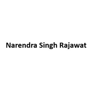 Narendra Singh Rajawat Developer Logo