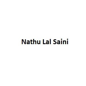 Nathu Lal Saini developer logo