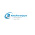 Natu Paranjpe Developer Logo