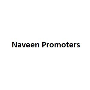Naveen Promoters developer logo