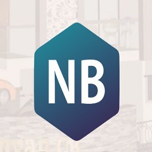 NB Construction developer logo