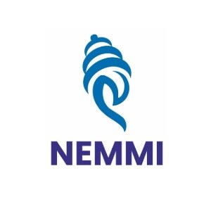 Nemmi Realty Developer Logo