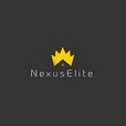 Nexuselite Infra Developer Developer Logo