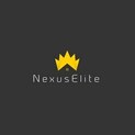 Nexuselite Infra Developer Logo