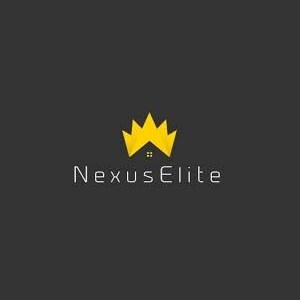 Nexuselite Infra Developer Developer Logo