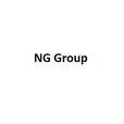 NG Group Developer Logo